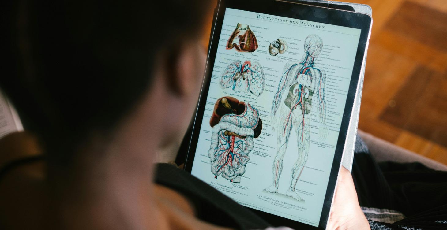 Water: Winter: Kidneys and Bladder