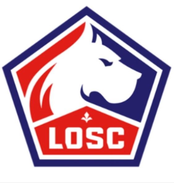 Laurent De Lillois