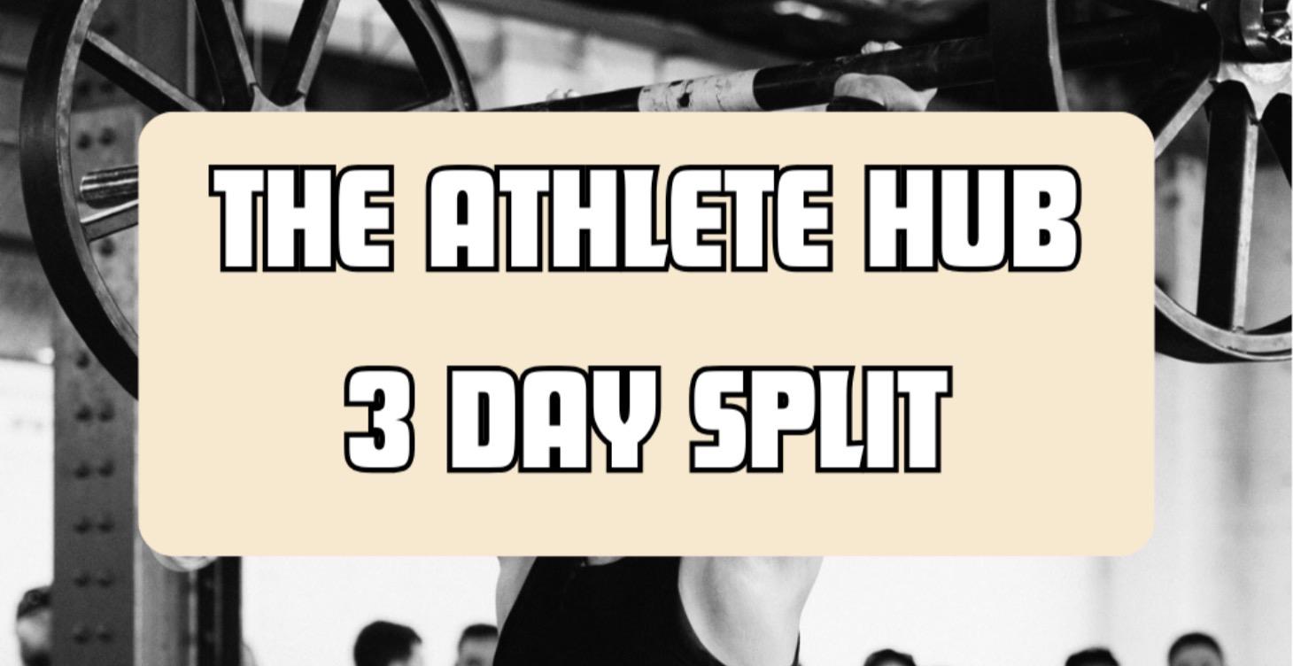 3 DAY TRAINING SPLIT