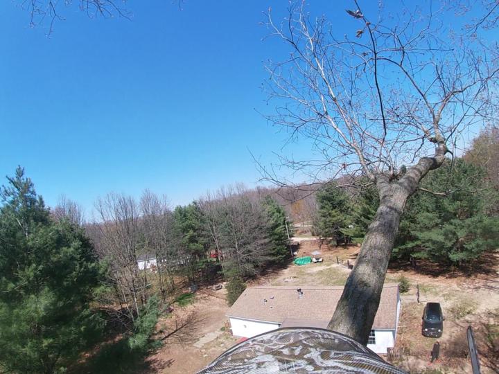 Love the views 