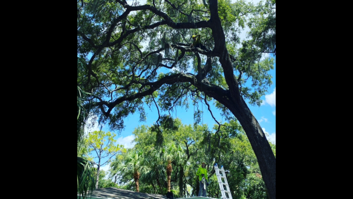 First SALE of the Year 🎉💵😝