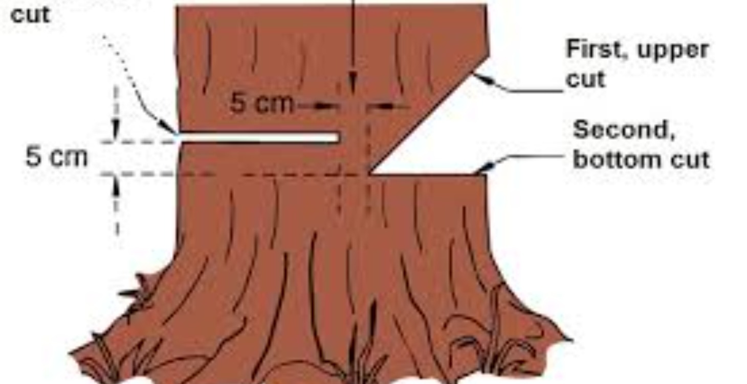 How to make a conventional notch