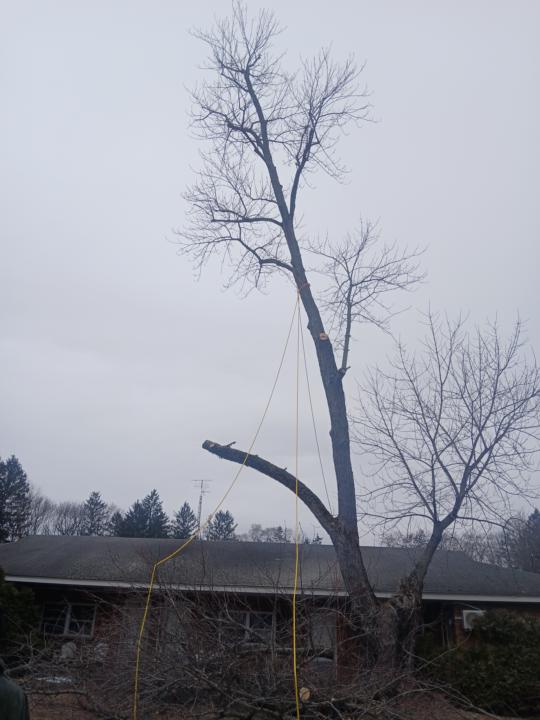 What does every one use for work rope?