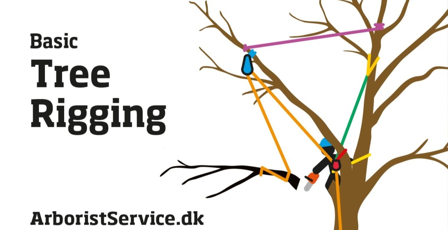 Basic rigging