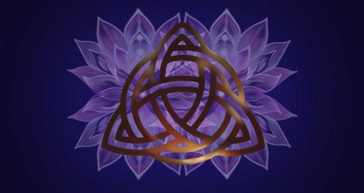 Quantum Flip Lifestyle