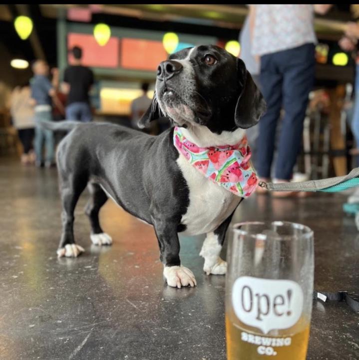 MilwaukeeMeetup is Tonight!