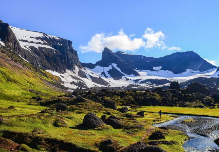 Irene Albarran Lozano