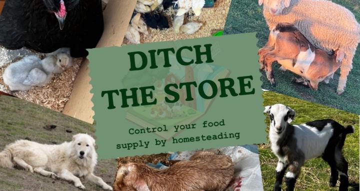 Ditch the Store