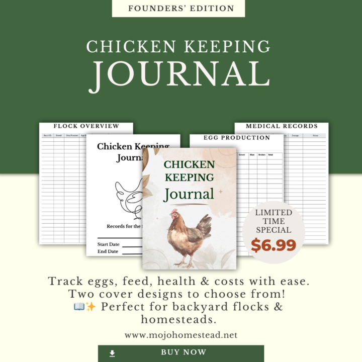 New Journal Out Now