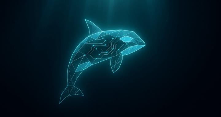 Orca AI Studio