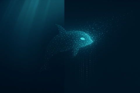 Orca AI Studio gallery image