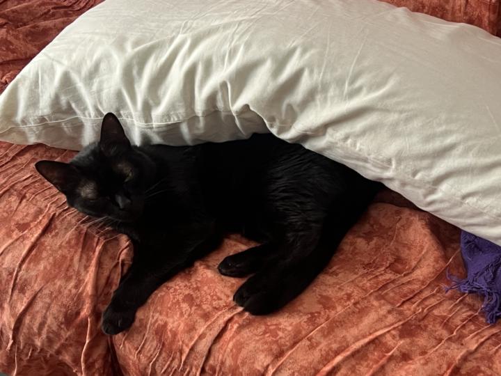 Siestas que rompen familias