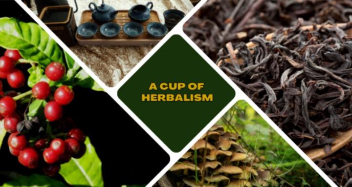 A Cup of Herbalism