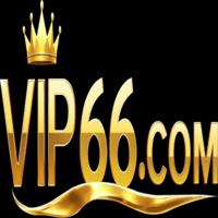 Vip Training