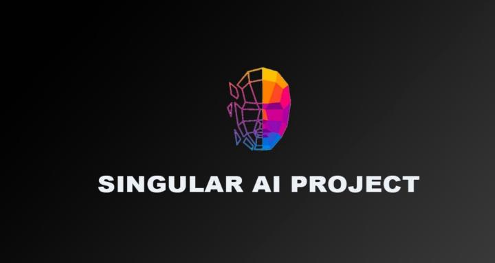 The Singular Project