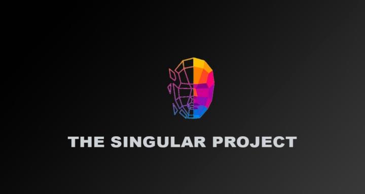 The Singular Project