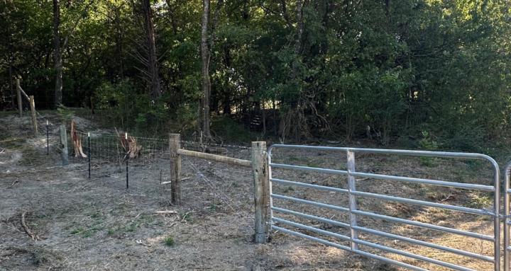 Cattle Fencing for Beginners