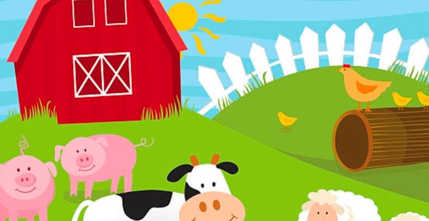 Starting a 501c3 Animal Rescue