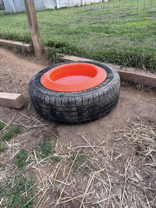 Look at this neat idea 