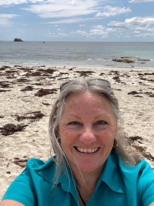 Sue Perriman