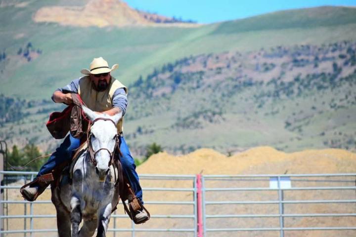 Diamond P Mules Mike Price