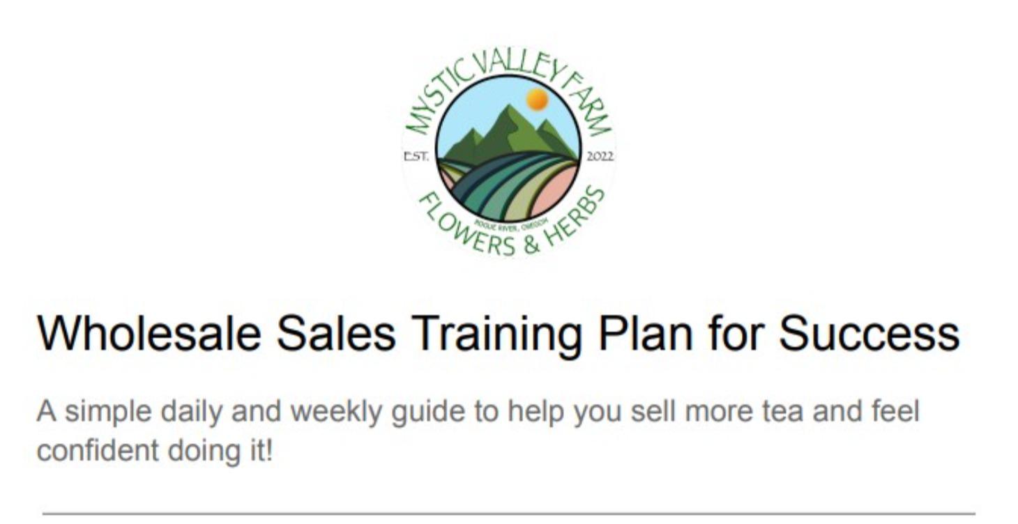 Wholesale Sales Training Plan for Success