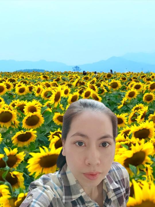 Linh Nguyễn