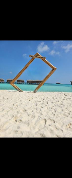 Zazou Zazou