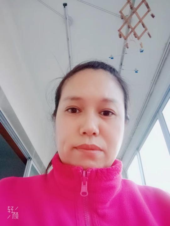 洪丽 董
