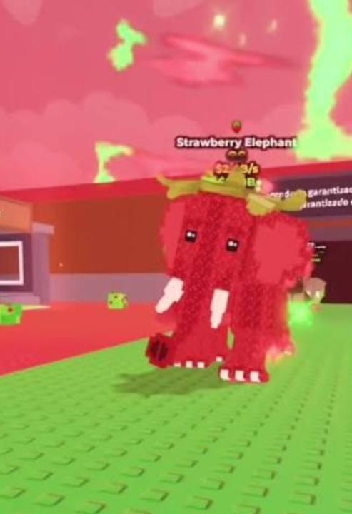 Marcelo Vásquez Barletti