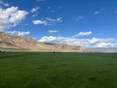 Saruultuya Erdenechuluun