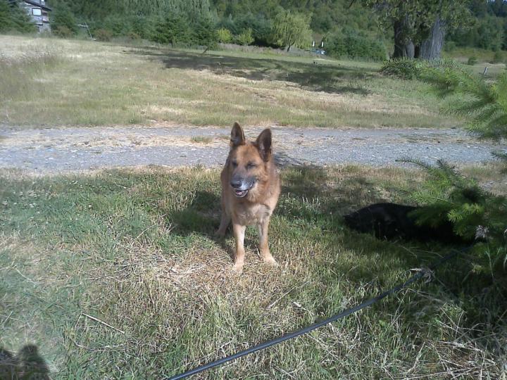 Mirtha liliana Fernandez