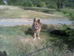 Mirtha liliana Fernandez