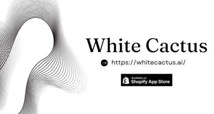 White Cactus - SEO/AEO/GEO 