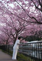 Amie Chan