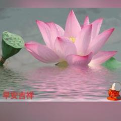 Yu Shan
