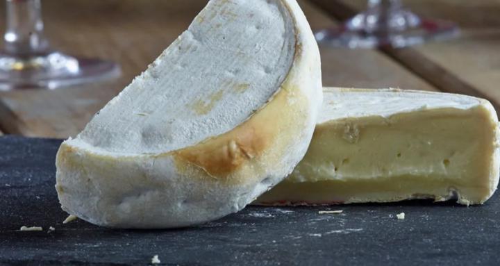 CHEESENSE HUB