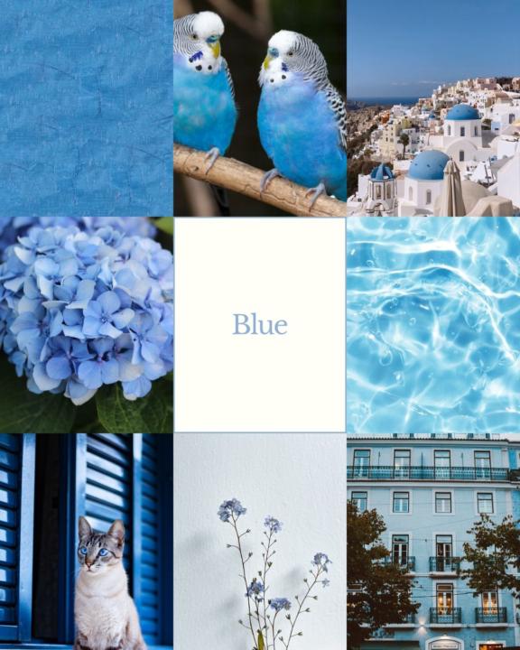 第一屆線上COLOR WALK🎨🩵