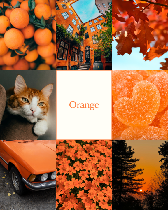 第五週線上Color Walk🎨🧡