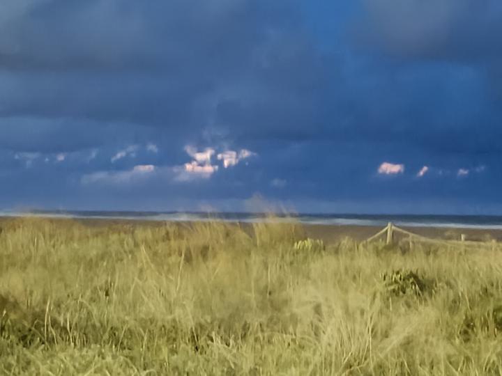 Guillermo ramon Piñeiroa