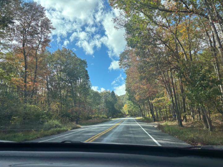 Alejandra Soquiel Donastorg