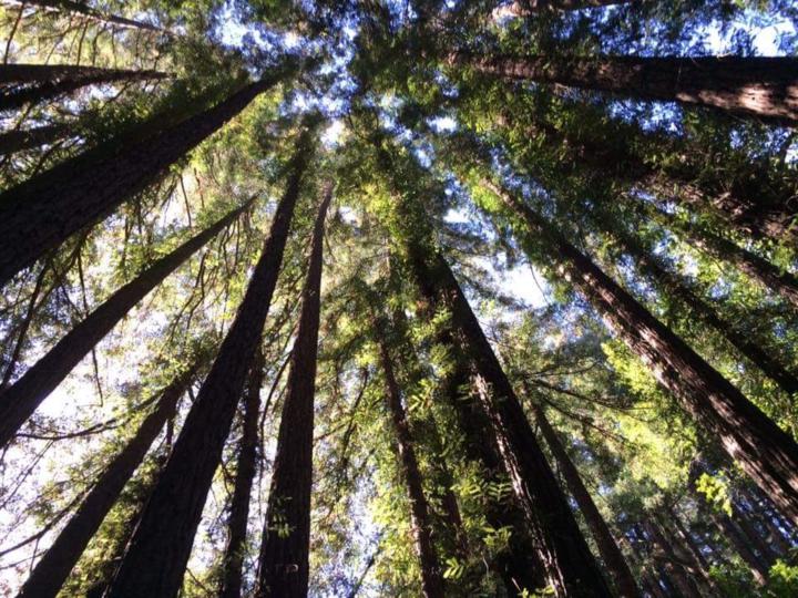 Regina Eriksson archer