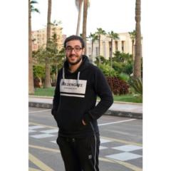 AbdulRahman Ellithy