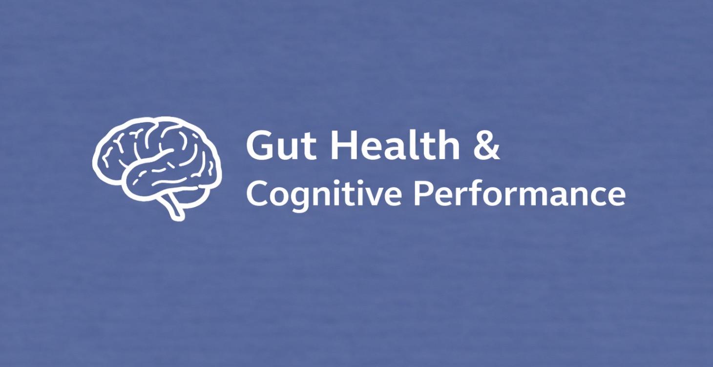 Gut Health & Cognitive Performance