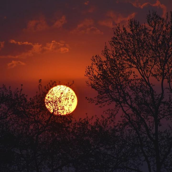 Finding the Light Within the Darkness