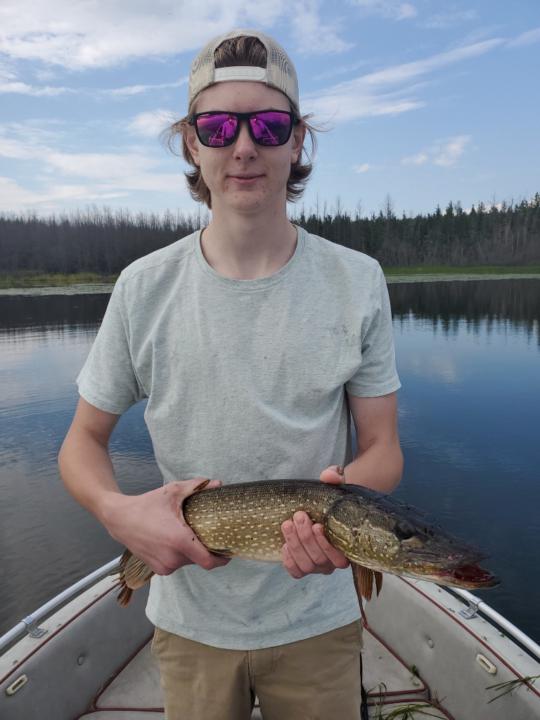Santino Wiebe