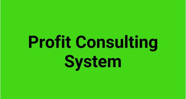 Profit Consulting System