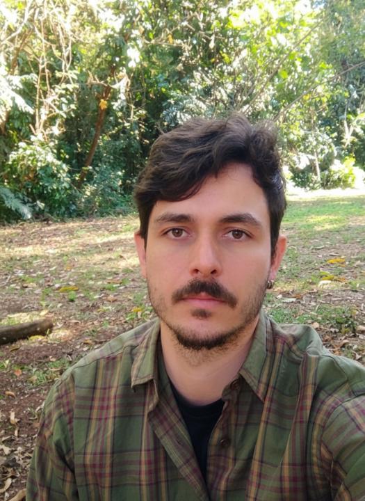 Rafael Francesco sarti