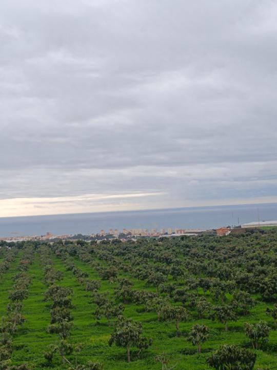 María Angeles Morales Marfil