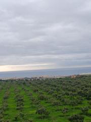 María Angeles Morales Marfil